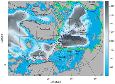 Valuing Blue Carbon Changes in the Arctic Ocean